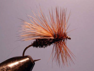 Мушка T&CS Peacock-Caddis (сух) 10 Россия фото